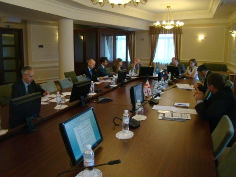 The 10th meeting of the Working Group on Emergency situations
