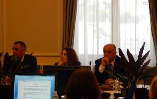 1st Meeting of the Working Body coordinating the activities of the Contracting Parties to the Agreement on Establishment of Free Trade Area