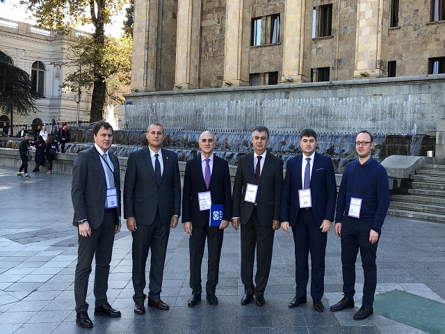 Участие делегации Парламентской ассамблеи ГУАМ в наблюдении за выборами Президента Грузии